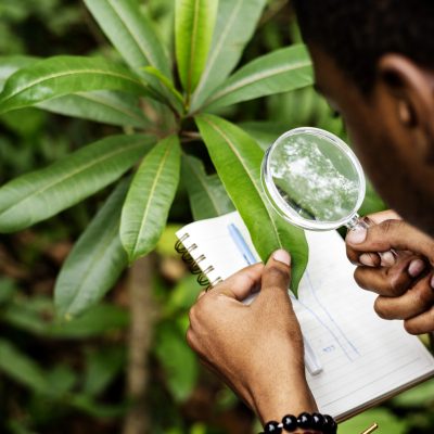 Biologist in a forest